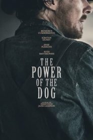 Il potere del cane